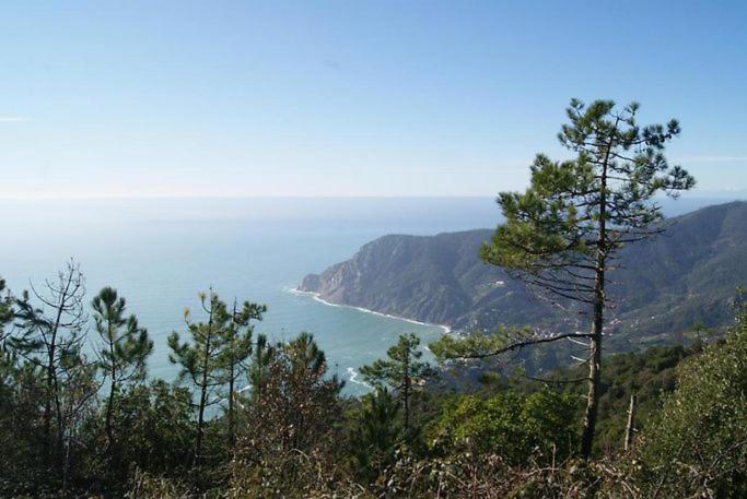 Ferienwohnung Trekking And Relax - Maremonti - Homy 5 Terre Vernazza Exterior foto